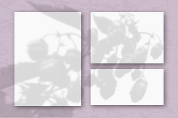 Wall Mural - Several horizontal and vertical sheets of white textured paper against a pastel lilac wall. Mockup overlay with the plant shadows. Natural light casts shadows from the tops of field plants and flowers