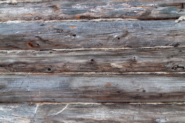 Wall Mural - texture of the log house wall.