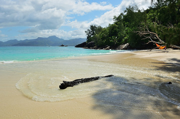 Wall Mural - Tropical beach Seychelles i