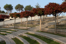 Deserted Amphitheatre Of The City Park.