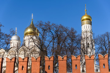 Wall Mural - The bell tower of Ivan the Great and the Archangel Cathedral behind the Kremlin wall.