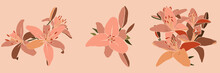 Collection Art Collage Lily Flower In A Minimal Trendy Style. Silhouette Of Lily Plants. Vector