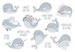 Vector hand drawn collectionof cute whales and lovely slogans