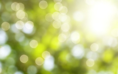 Tree.