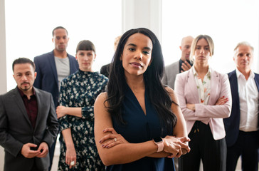 Wall Mural - Group of business people