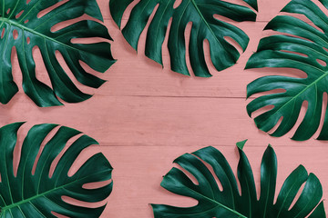 Poster - Tropical leaf Monstera or split-leaf philodendron (Monstera deliciosa) the tropic plant leaves composition on orange pink wood pastel color background, flat lay nature frame layout.