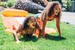 © Inti St. Clair - Girls playing on slip and slide in front yard of home