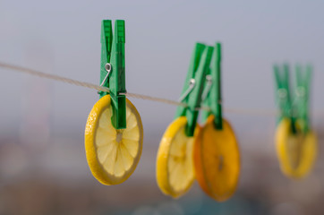 slices of citrus on a clothesline. Citrus fruits like the sun need the body as vitamins