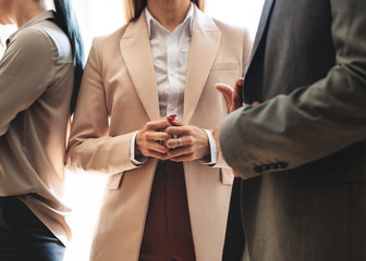 Wall Mural - Group of business people