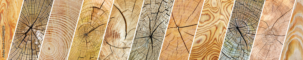 Collection varied wooden textures separated oblique lines. - obrazy, fototapety, plakaty 