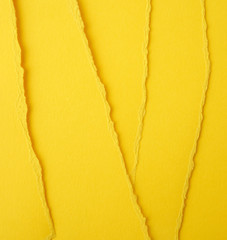 background of layered yellow torn paper with a shadow, backdrop and template for designer