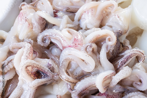 Fotografía Ciuffetti di calamari crudi in primo piano