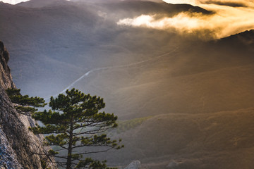 Canvas Print - Mountains in the fog