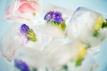 Closeup of flowers ice cube