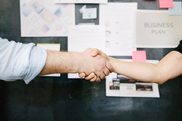 Wall Mural - Startup team members shaking hands