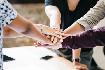 Wall Mural - Diverse startup business team stacking hands