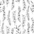 A Botanical seamless pattern with wild herbs and flowers on a white background, all the branches are hand-drawn in black ink.