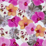 Fototapeta Storczyk - Phalaenopsis orchid seamless pattern for prints, fabrics, paper, backgrounds and various designs