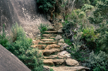 stone stairs in the forest