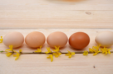 eggs and twigs on wooden background