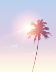 Wall Mural - palm tree silhouette on summer sky background with sun light vector illustration EPS10