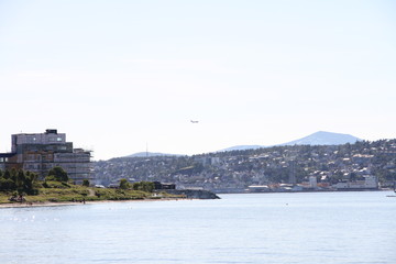 Wall Mural - bird birds cormorants tromso tromsø  water travel tourism sea coast nature port blue landscape sky harbor architecture europe boatship mountain summer bay view city beautifull and mark mediterranean v