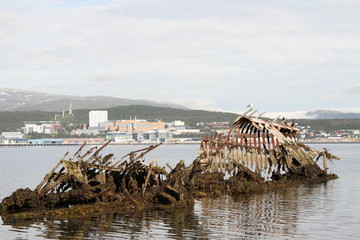 Wall Mural - bird birds cormorants tromso tromsø  water travel tourism sea coast nature port blue landscape sky harbor architecture europe boatship mountain summer bay view city beautifull and mark mediterranean 