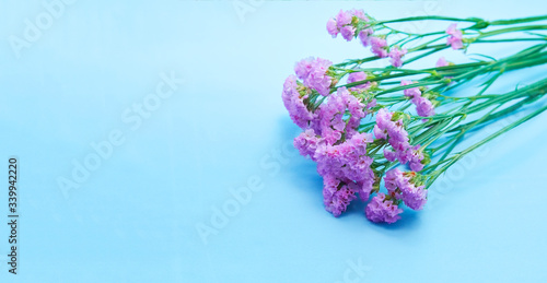紫のスターチス リモニウム ハナハマサジ の花束の写真 横長 Stock Photo Adobe Stock 紫のスターチス リモニウム ハナハマサジ の花束の写真 横長 Stock Photo Adobe Stock