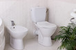 toilet bowl and bidet in the bathroom