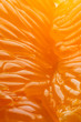 © alex.pin - Foto macro di Arancia (interno)