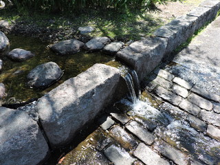 Poster - Water stream on the stone in summer park