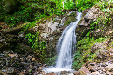 A creek in a green forest with a waterfall, shot with a long exposure.