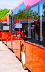 Canvas Print - Fragment of red touristic bus reflex