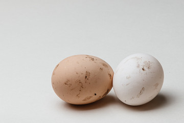 dirty eggs on a white background subject 2 eggs