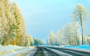 Wall Mural - Winter road in Snow Forest in Cold Finland of Lapland reflex