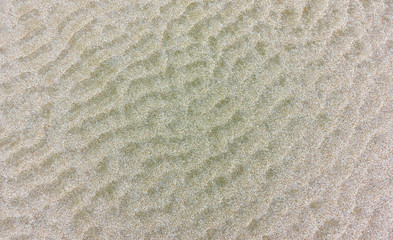 Wall Mural - sand - natural background