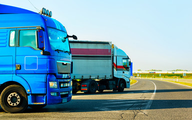 Canvas Print - Trucks in asphalt road of Poland reflex