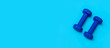 © Augustas Cetkauskas - Two dumbbells of blue color isolated on a light blue background. Healthy lifestyle concept.