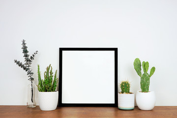 Wall Mural - Mock up black square frame with potted plants and branch decor. Wooden shelf against a white wall. Copy space.
