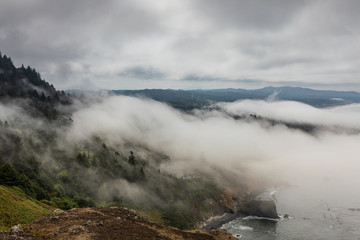 Wall Mural - View of fog coming ashore over tree laden hills along the Oregon coast