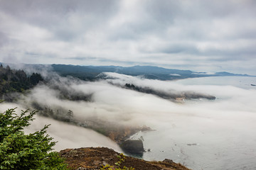 Wall Mural - View from Cape Foulweather overlook of Oregon coast as fog comes ashore