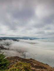 Wall Mural - Vertical Image - View from Cape Foulweather overlook of Oregon coast as fog comes ashore
