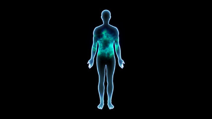 human body