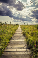 Sticker - Wooden walkway called Dluga Luka in Biebrza National Park, Podlasie region of Poland