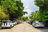 Fototapeta  - Many car parking at side village road with home and many cars parking in working day while lockdown from covid .
