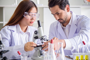 Wall Mural - attractive happiness scientist lab technician assistant analyzing sample in test tube at laboratory.