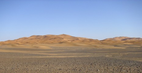 desert wasteland sand dune sahara