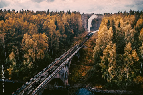 Fotomural Old soviet steam locomotive passing though Karelian forrest