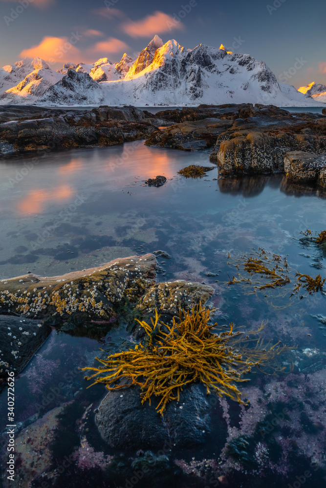 Soft tones of the golden hour in mountains at the coast of Vareid, Lofoten, Norway
 - obrazy, fototapety, plakaty 