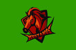 Hand drawn sport team mascot logo design. T-shirt print illustration. Mustang.